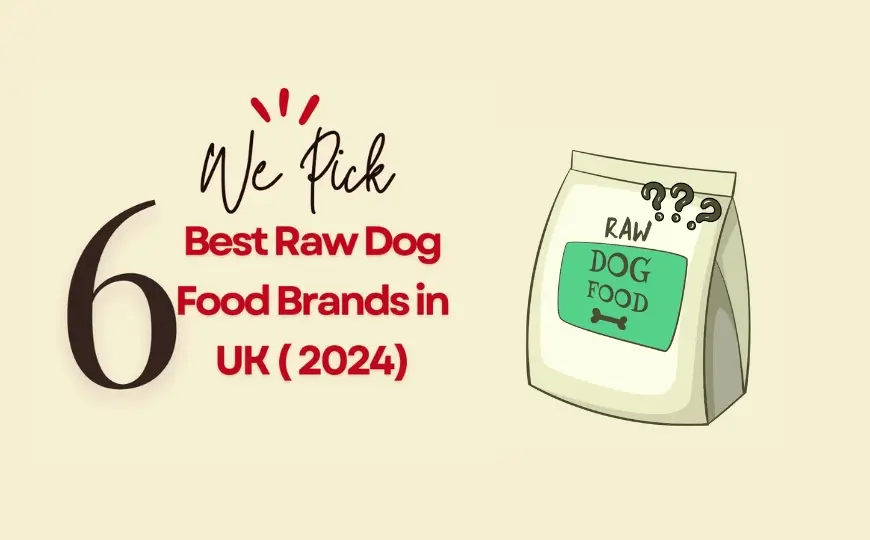 6 Best Raw Dog Food UK- Brands Comparison & Buying Guide
